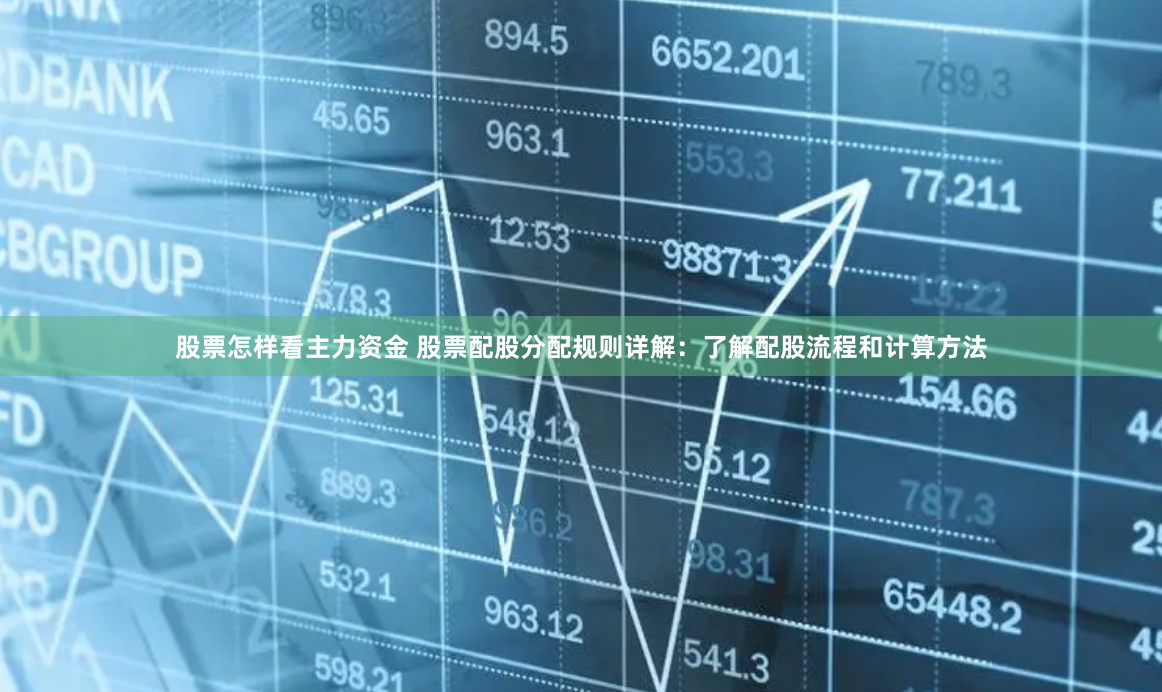 股票怎样看主力资金 股票配股分配规则详解：了解配股流程和计算方法
